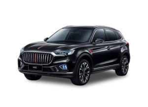 Коврики EVA на Hongqi HS5 I 2018-